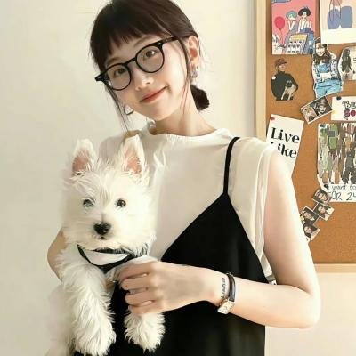 爱寻迷